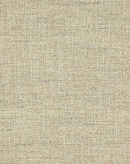 Ткань Colefax and Fowler Brett Weaves F4633/04
