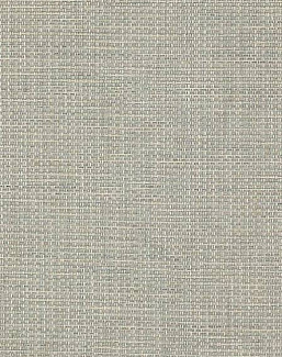 Ткань Colefax and Fowler Brett Weaves F4639/08