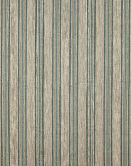 Ткань Colefax and Fowler Brett Weaves F4640/02