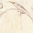 Обои Fresco Elegant SZ001469