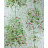 Обои Nina Campbell Rosslyn Wallpapers NCW4152-01