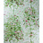 Обои Nina Campbell Rosslyn Wallpapers NCW4152-01