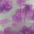 Обои Matthew Williamson Samana W6652-05