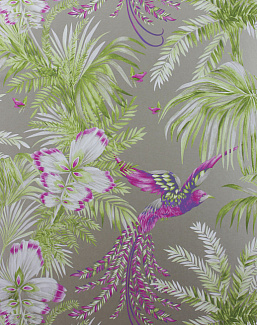 Обои Matthew Williamson Samana W6655-03