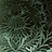 Обои Zuber Anastasia 564-VERT