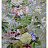 Обои Zuber Roses Anciennes ROSES-ANCIENNES-P-06