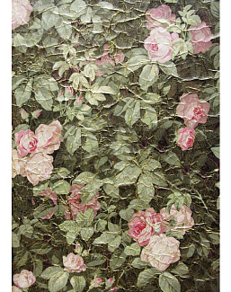 Обои Zuber Roses Anciennes ROSES-ANCIENNES-P-11