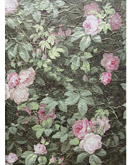 Обои Zuber Roses Anciennes ROSES-ANCIENNES-P-12