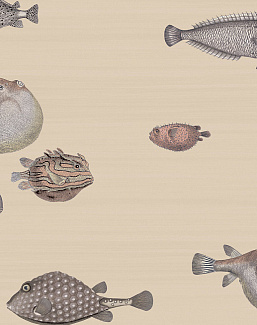 Обои Cole & Son Fornasetti Senza Tempo 114/16033