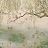 Панно и фотообои Coordonne Random Chinoiseries 7900040N