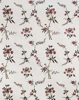 Ткань Braquenie Broderies I B7571001