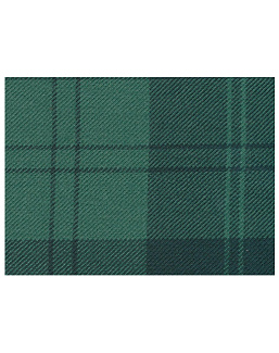 Ткань The Isle Mill Tartans II MWS2098/IM