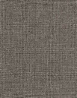 Обои Caselio Jute JTE104012690