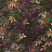 Обои Clarke & Clarke Exotica 2 W0140/01
