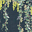 Панно и фотообои Misha Asia Grapes/Blu Notte