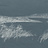 Обои Factura Collection 2022 REEDS/6