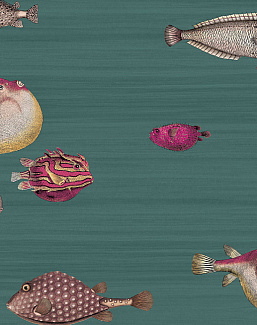 Обои Cole & Son Fornasetti III 114/12024