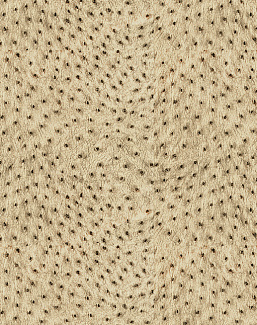 Ткань Kravet Modern Luxe Platinum 32515/416