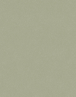 Обои Borastapeter Pigment 2023 7582
