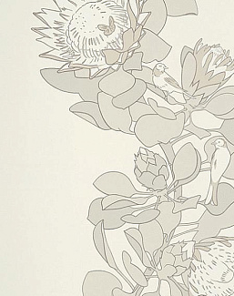 Обои Paint & Paper Library Tresco Protea Trail Slate