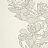 Обои Paint & Paper Library Tresco Protea Trail Slate