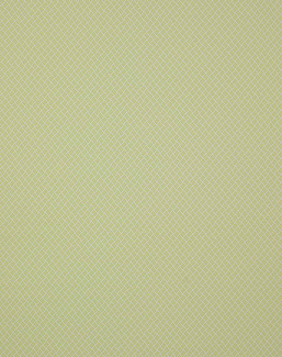 Ткань Manuel Canovas Malfa 04891/05