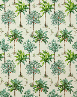 Ткань Manuel Canovas Ibiza 04965/02