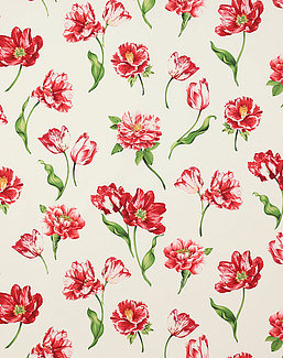 Ткань Manuel Canovas Ibiza 04960/02