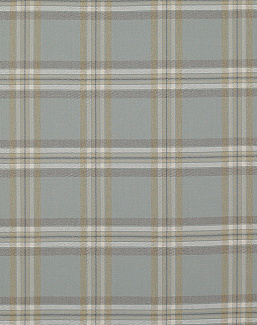Ткань Colefax and Fowler Edgar Checks & Stripes F4518/04