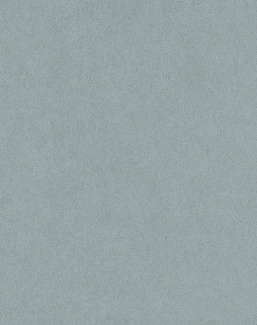 Обои Etten Manhattan 1430308