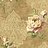 Обои Wallquest Opulent ON41705