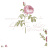 Обои Aura Rose Garden CG28820