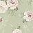 Обои Loymina Rosa Dragomirski R1005