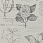 Обои Collection For Walls Classic I 200602