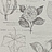 Обои Collection For Walls Classic I 200602
