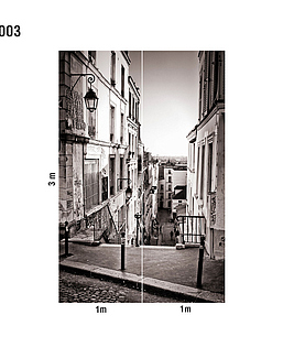 Панно и фотообои Loymina Illusion DS-003