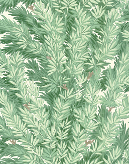 Обои Cole & Son Archive Anthology 100/1002
