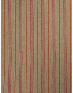 Ткань Trend Blush Punch Prints & Wovens Vol.III 02620/Redbud
