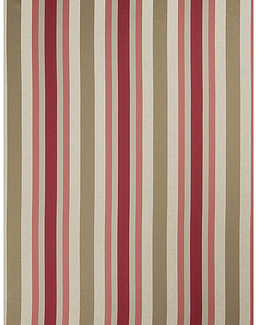 Ткань Trend Blush Punch Prints & Wovens Vol.III 02621/Redbud