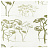 Обои Tres Tintas BCN 9 selvas de Mariscal 1996-3