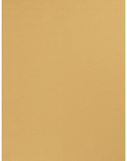 Ткань Trend Sleek Satin vol. II 02022-T/Gold
