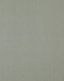 Ткань Daylight Canvas Canvas/Haze