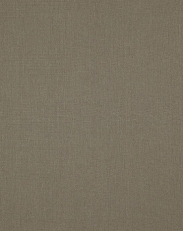 Ткань Daylight Canvas Canvas/Stone