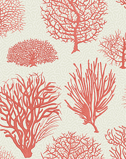 Обои Cole & Son Curio 107/2011