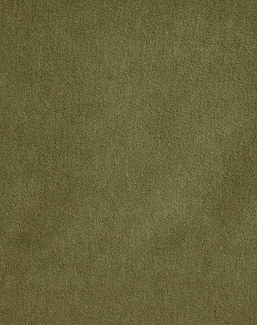 Ткань KAI Savona Savona/Olive