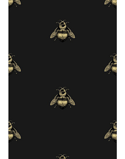 Обои Timorous Beasties Stock TB/NAP/4007/SNW