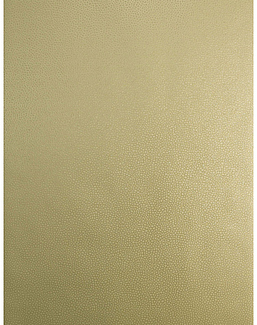 Обои Trend Vern Yip W30016/03