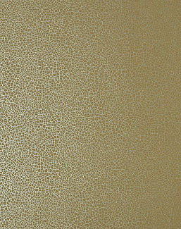 Обои 1838 Wallcoverings Elodie 1907-141-07