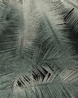 Панно и фотообои Glamora Creative Wallcovering GLNF111A