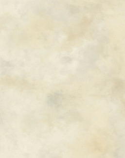 Обои Aquarelle Brushstrokes BR2005